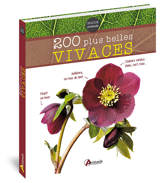 ARTEMIS - 200 plus belles vivaces - large