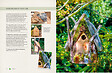 ARTEMIS - Nichoirs naturels - vignette