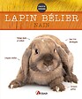ARTEMIS - Lapin bélier nain - vignette