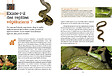 ARTEMIS - Et si on achetait un serpent - vignette