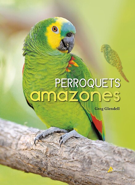 ARTEMIS - Perroquets Amazones - large