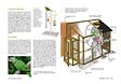 ARTEMIS - Perroquets Amazones - vignette