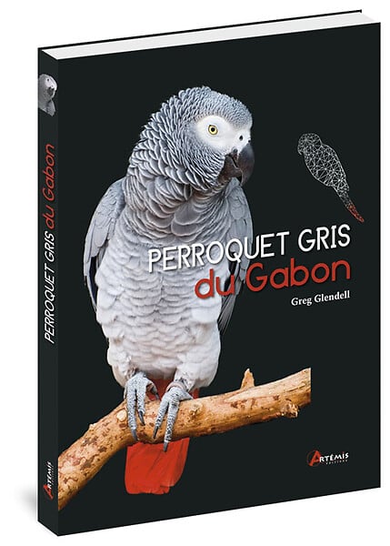 ARTEMIS - Les perroquets gris du Gabon - large