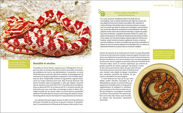 ARTEMIS - Serpents des blés et autres serpents ratiers - large