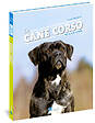ARTEMIS - Cane Corso - vignette