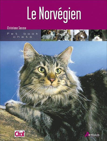 ARTEMIS - Chat Norvégien - large