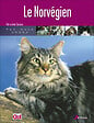 ARTEMIS - Chat Norvégien - vignette