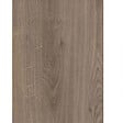 FORESTEA - Marche rénovation d'escalier stratifié louisiana 1000 x 300 x 56 mm - PEFC 70% - vignette