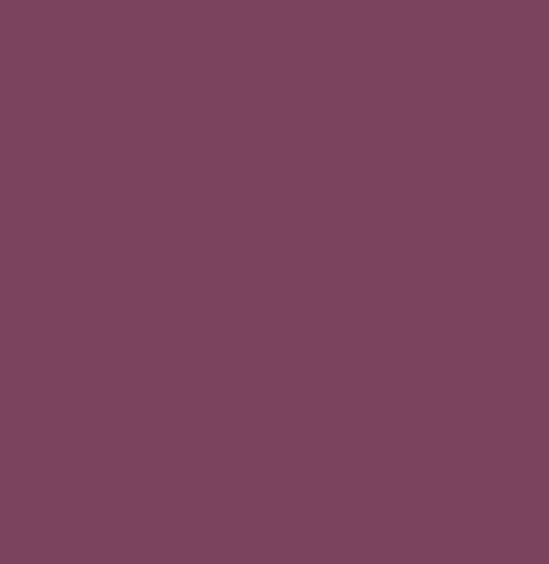 V33 PEINTURE - Peinture renovation multi-support satin figue 0.5 L - large