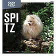 MARTIN - Calendrier - spitz - vignette