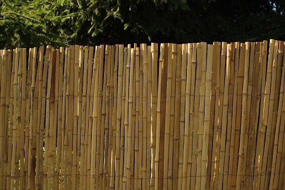 NATURE - Canisse bambou fendu 1x3m - large