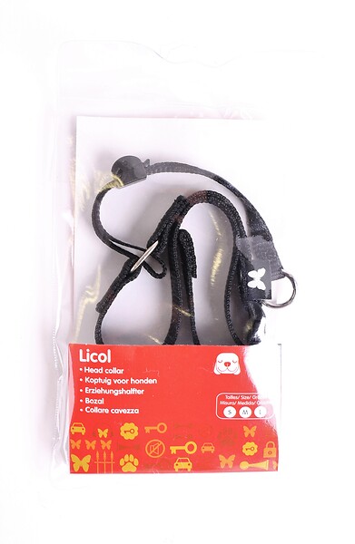 MARTIN - Licol pour chien pm - large