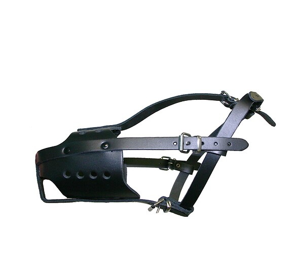 MARTIN - Museliere policiere t.6 croute de cuir - large