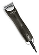 OPTIMUM - Tondeuse chiens Optimum Ultra - Sur secteur - vignette