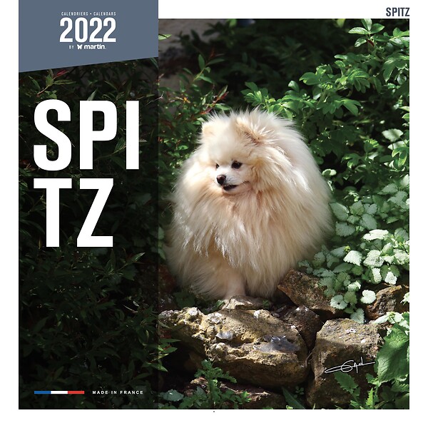 MARTIN - Calendrier - spitz - large