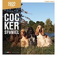 MARTIN - Calendrier - cocker spaniel - vignette