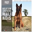 MARTIN - Calendrier - berger belge malinois - vignette