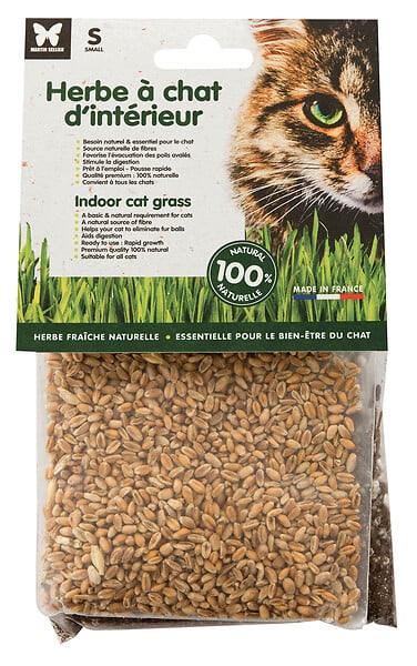 MARTIN - Herbe a chat a semer sachet - large