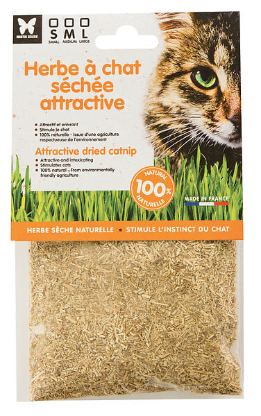 MARTIN - Cataire 30gr - large