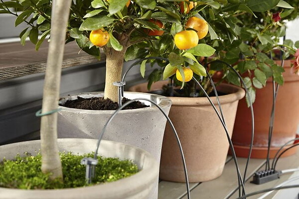 GARDENA - Kit arrosage automatique - 36 pots - large