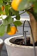 GARDENA - Kit arrosage automatique - 36 pots - vignette