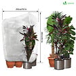 VOUNOT - Lot de 3 Housse Hivernage Plante avec Cordon et zipper Polypropylème 80g/m² 200x240cm blanc - vignette