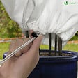 VOUNOT - Lot de 3 Housse Hivernage Plante avec Cordon Polypropylème 80g/m² 80x100cm blanc - vignette