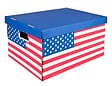 C.FROG - Clementina frog - lot de 2 boites en carton decor usa - vignette