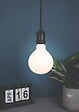 XANLITE - Ampoule Filament LED déco en verre opaque, culot E27, forme G95, puissance 10W, équivalent 75W, flux 1055 lm, lumière blanc chaud 3000 K - vignette