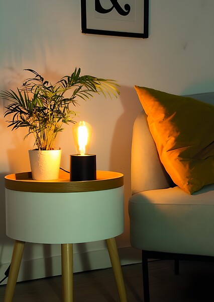 XANLITE - Ampoule Filament LED déco en verre opaque, culot E27, forme ST64, puissance 10W, équivalent 75W, flux 1055 lm, lumière blanc chaud 3000 K - large
