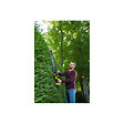 RYOBI - Pack RYOBI Taille-haies Linea 18V One+ INEA 55cm RY18HT55A-0 - 1 Batterie 5.0Ah - 1 Chargeur rapide RC18120-150 - vignette