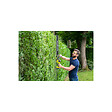 RYOBI - Pack RYOBI Taille-haies Linea 18V One+ INEA 55cm RY18HT55A-0 - 1 Batterie 5.0Ah - 1 Chargeur rapide RC18120-150 - vignette