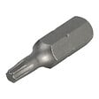 WOLFCRAFT - 2 embouts solid TX 15 - vignette