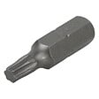 WOLFCRAFT - 2 embouts solid TX 20 - vignette