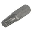 WOLFCRAFT - 2 embouts solid TX 30 - vignette
