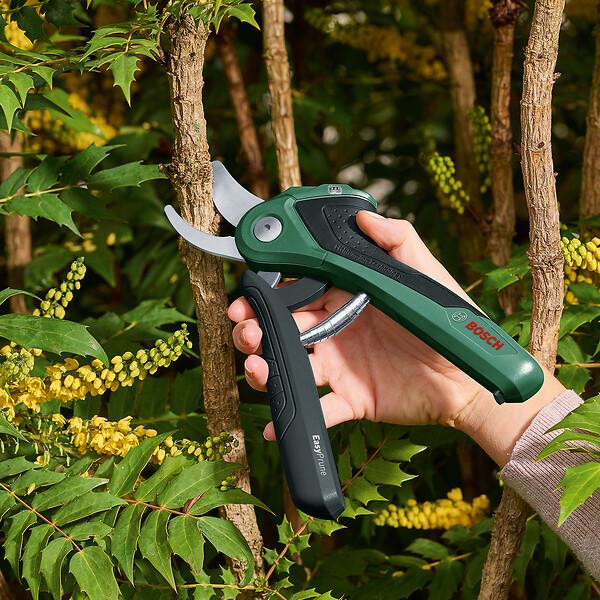 BOSCH - Sécateur à batterie Easyprune - 3,6V - large