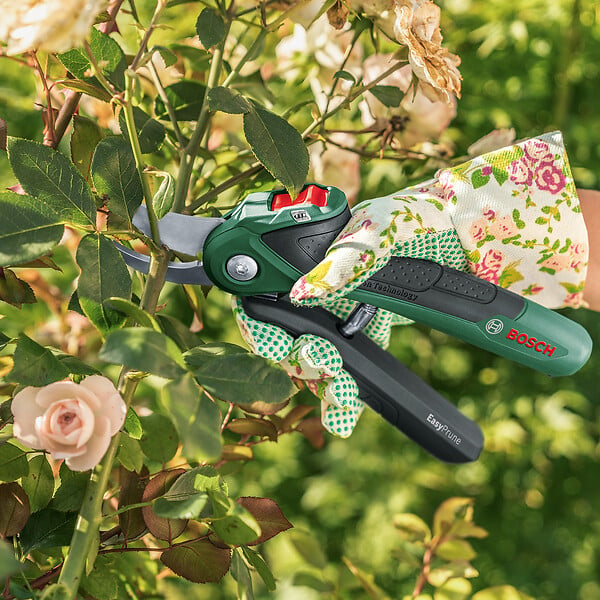 BOSCH - Sécateur à batterie Easyprune - 3,6V - large