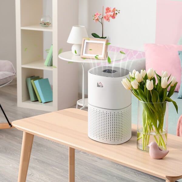HOMCOM - Purificateur d'air 50 W 4 vitesses mode silencieux - filtre HEPA, charbon actif -  jusqu'à 24 m² - débit d'air pur 225 m³/h - timer - ABS blanc gris - large