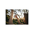 FISKARS - Sécateur Plus P751 à  lame franche en métal - à˜ 24 mm - Power lever - vignette