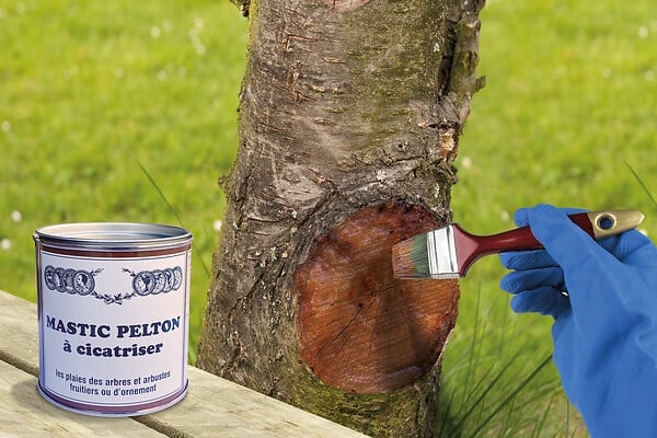 PELTON - Mastic pelton à cicatriser 400g - large