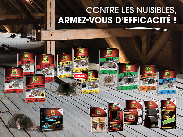 KB HOME DEFENSE - Anti-rats et souris 12 blocs 20gr - large