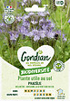 GONDIAN - Plantes utiles au sol - Phacélie Gondian - vignette