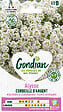 GONDIAN - Alysse Corbeille d'Argent Gondian - vignette