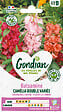 GONDIAN - Balsamine à Fleur de Camélia Double Variée Gondian - vignette