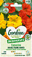 GONDIAN - Capucine Naine Double Variée Gondian - vignette