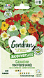 GONDIAN - Capucine Tom Pouce Variée Gondian - vignette