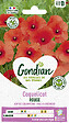 GONDIAN - Pavot Coquelicot Simple Rouge Gondian - vignette