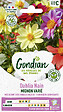 GONDIAN - Dahlia Mignon Varié Gondian - vignette