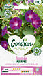 GONDIAN - Ipomée Volubilis Pourpre Gondian - vignette