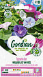 GONDIAN - Ipomée Volubilis Variée Gondian - vignette